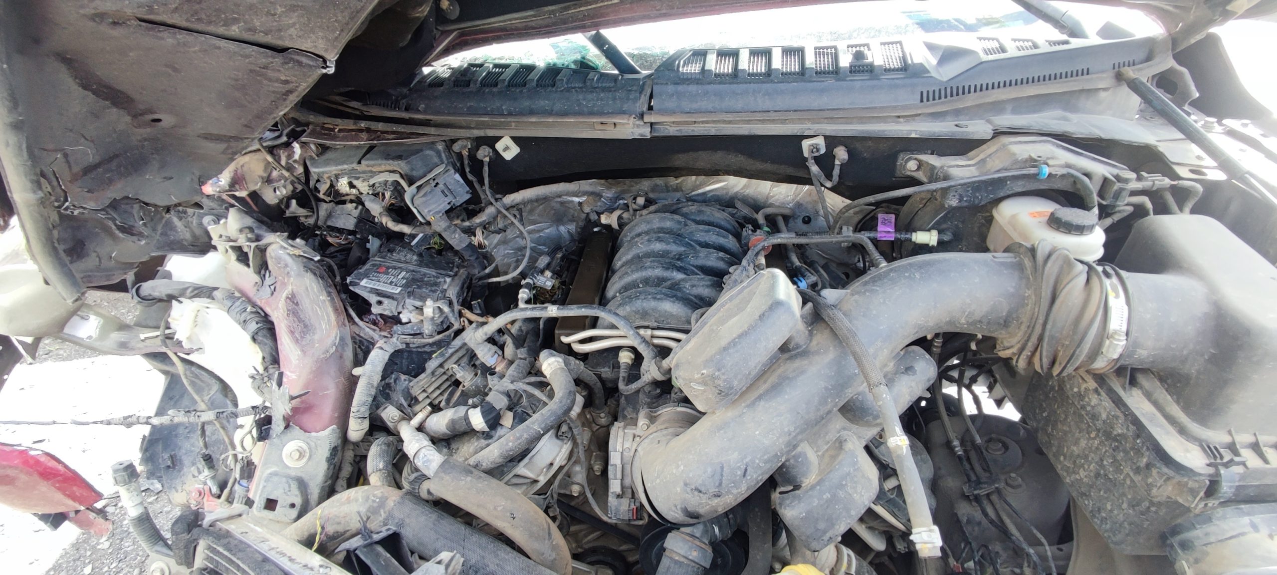 FORD F 150 2019