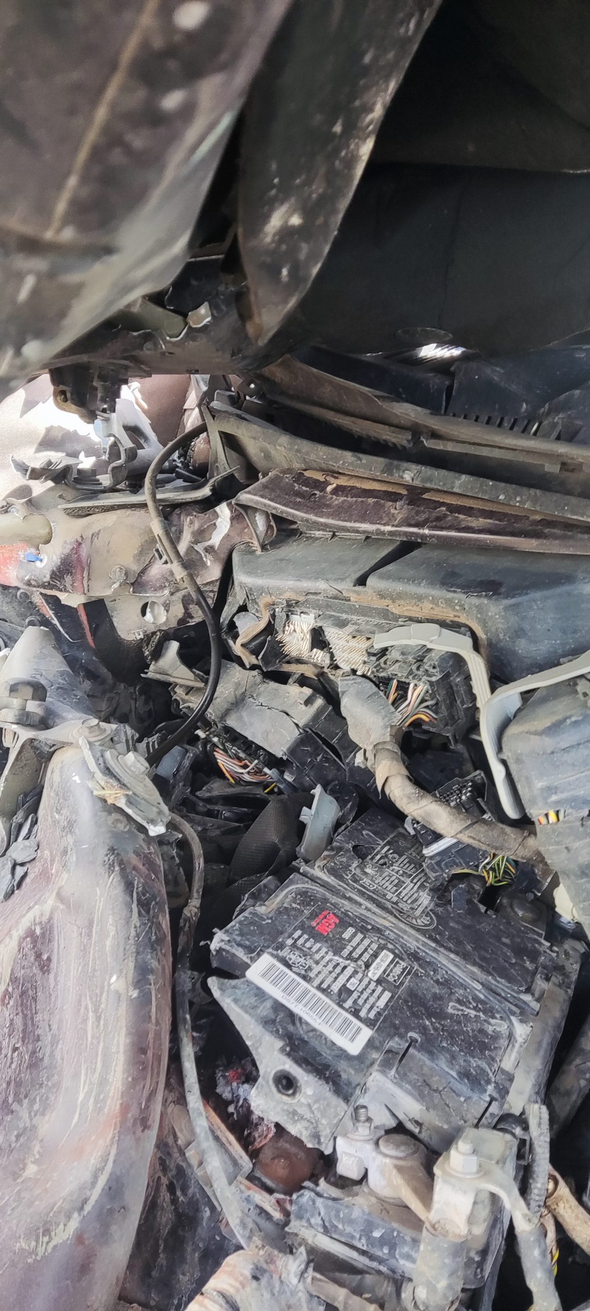 FORD F 150 2019