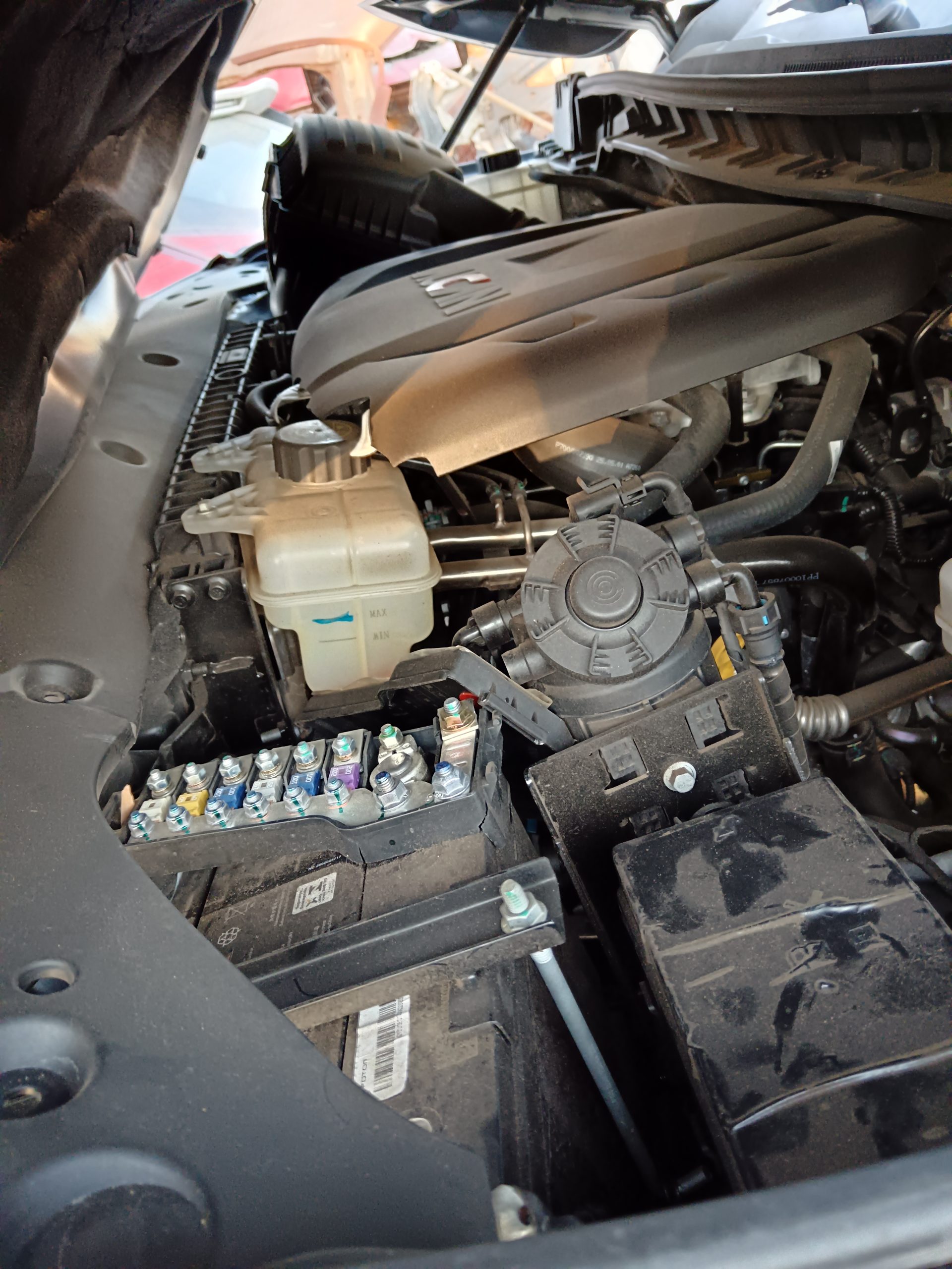 FOTON OLN 2026