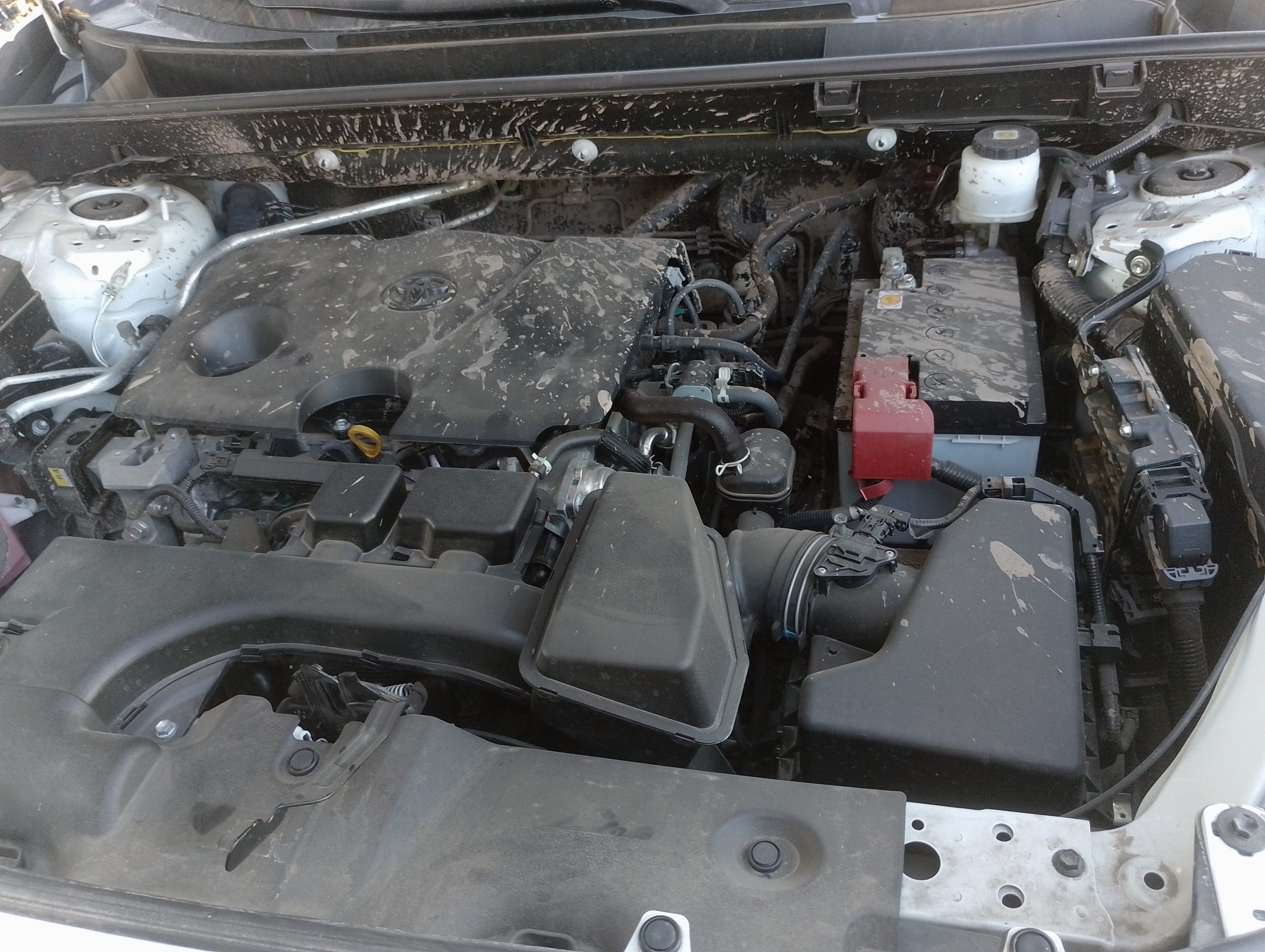 TOYOTA RAV 4 2023