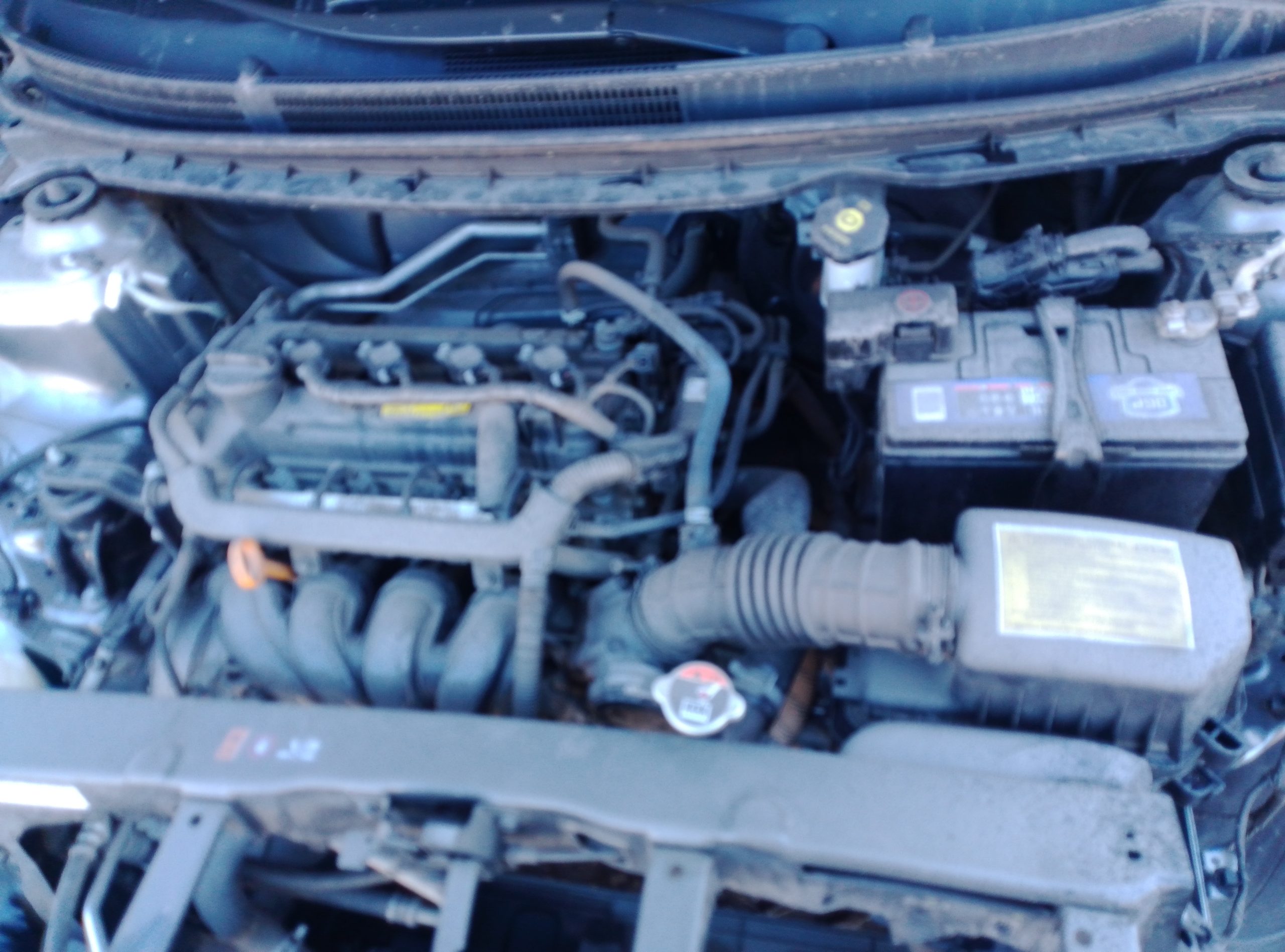 KIA MOTORS SOLUTO 2024