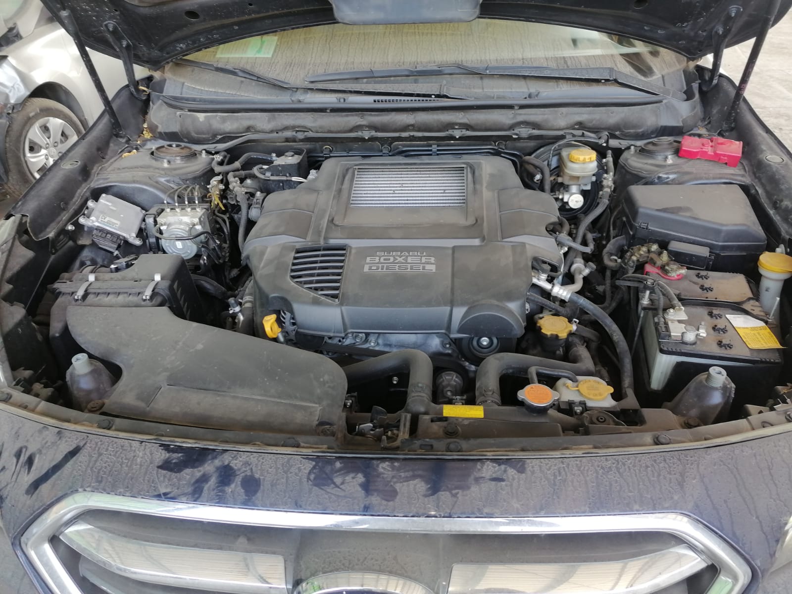 SUBARU OUTBACK 2019