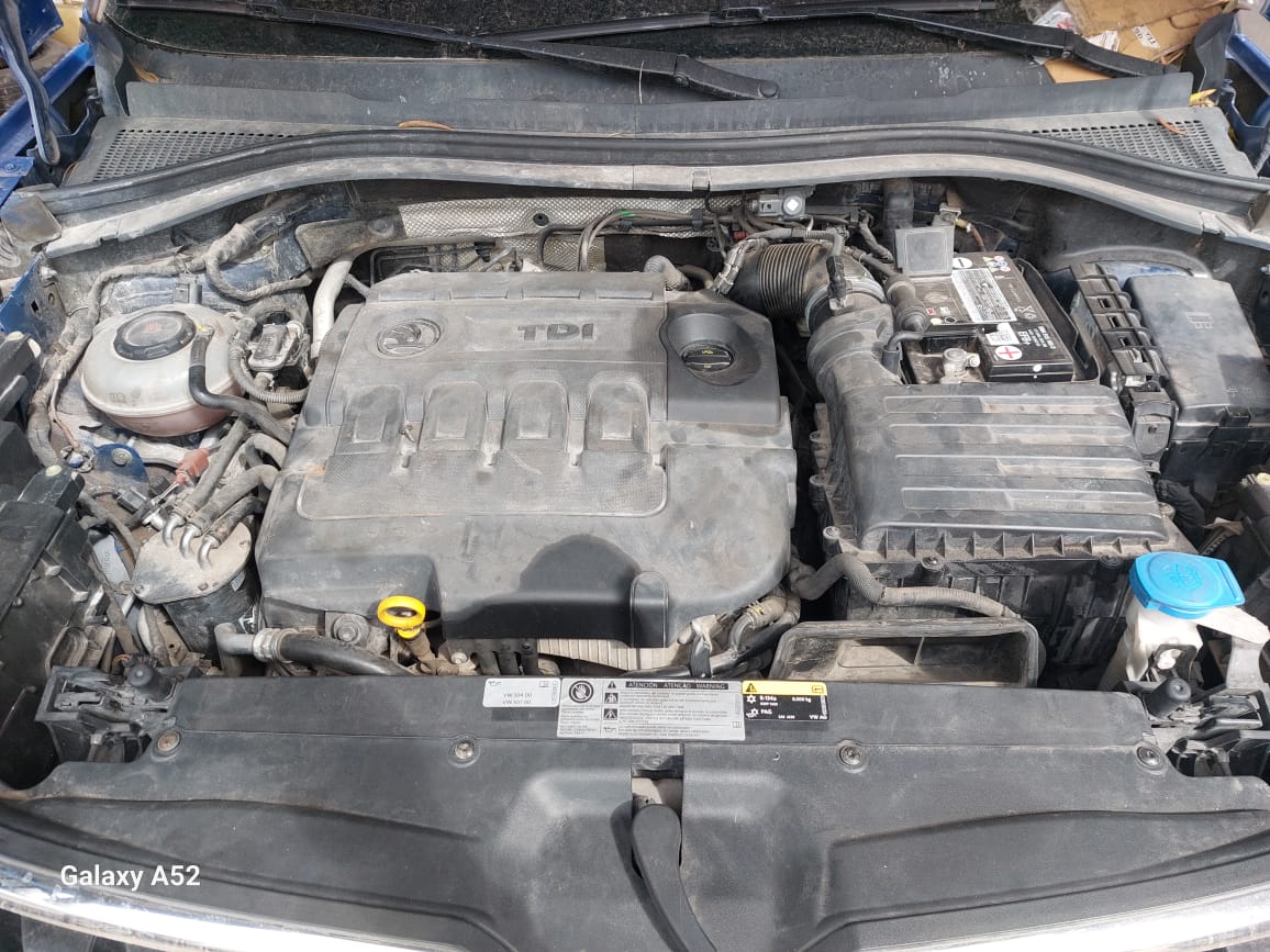 SKODA KODIAQ 2019