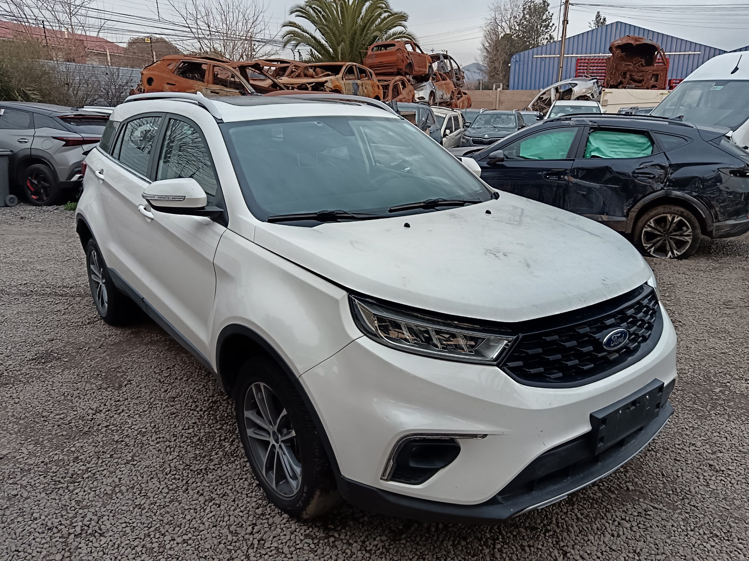 FORD TERRITORY TREND 2021