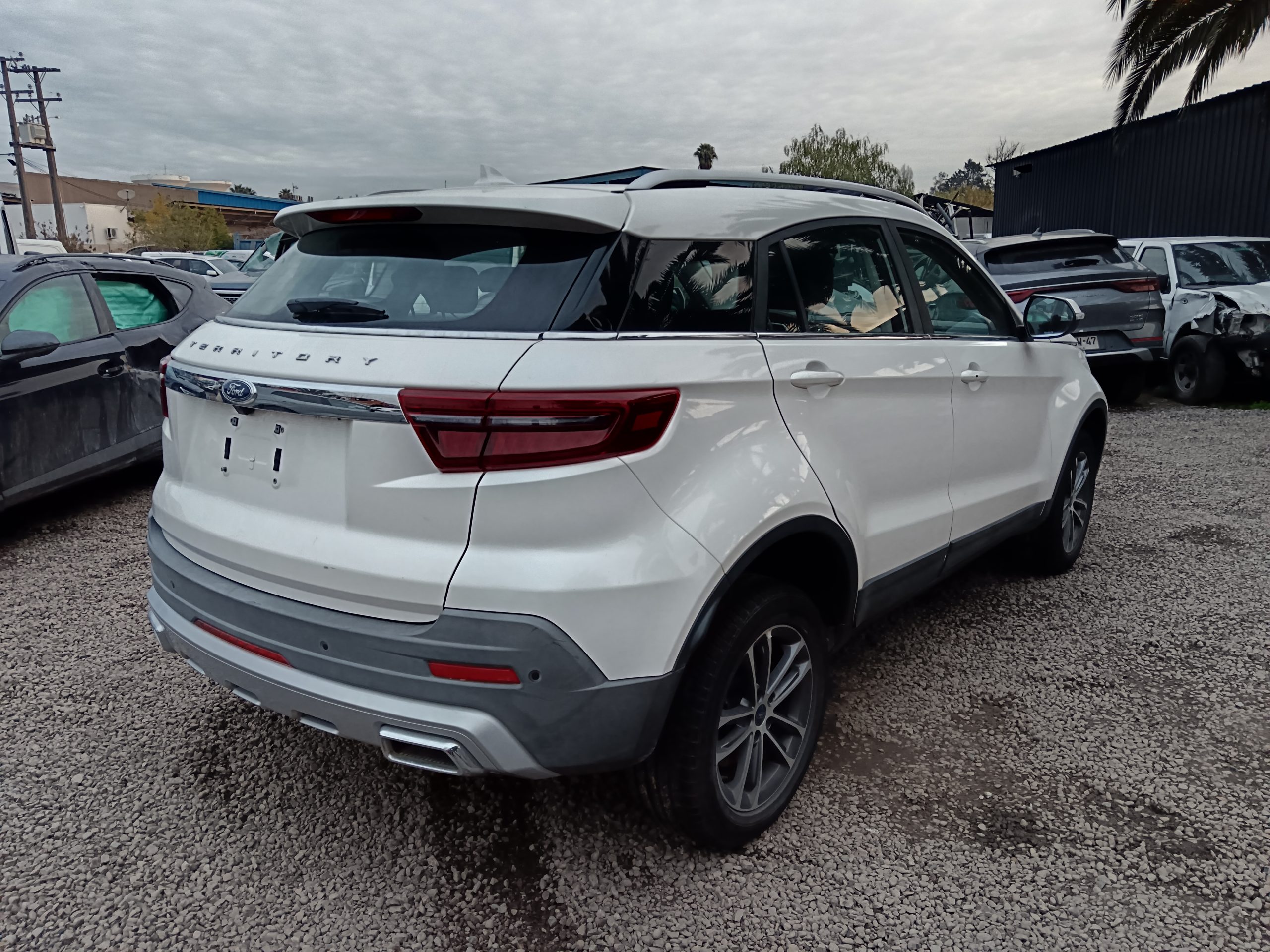 FORD TERRITORY TREND 2021