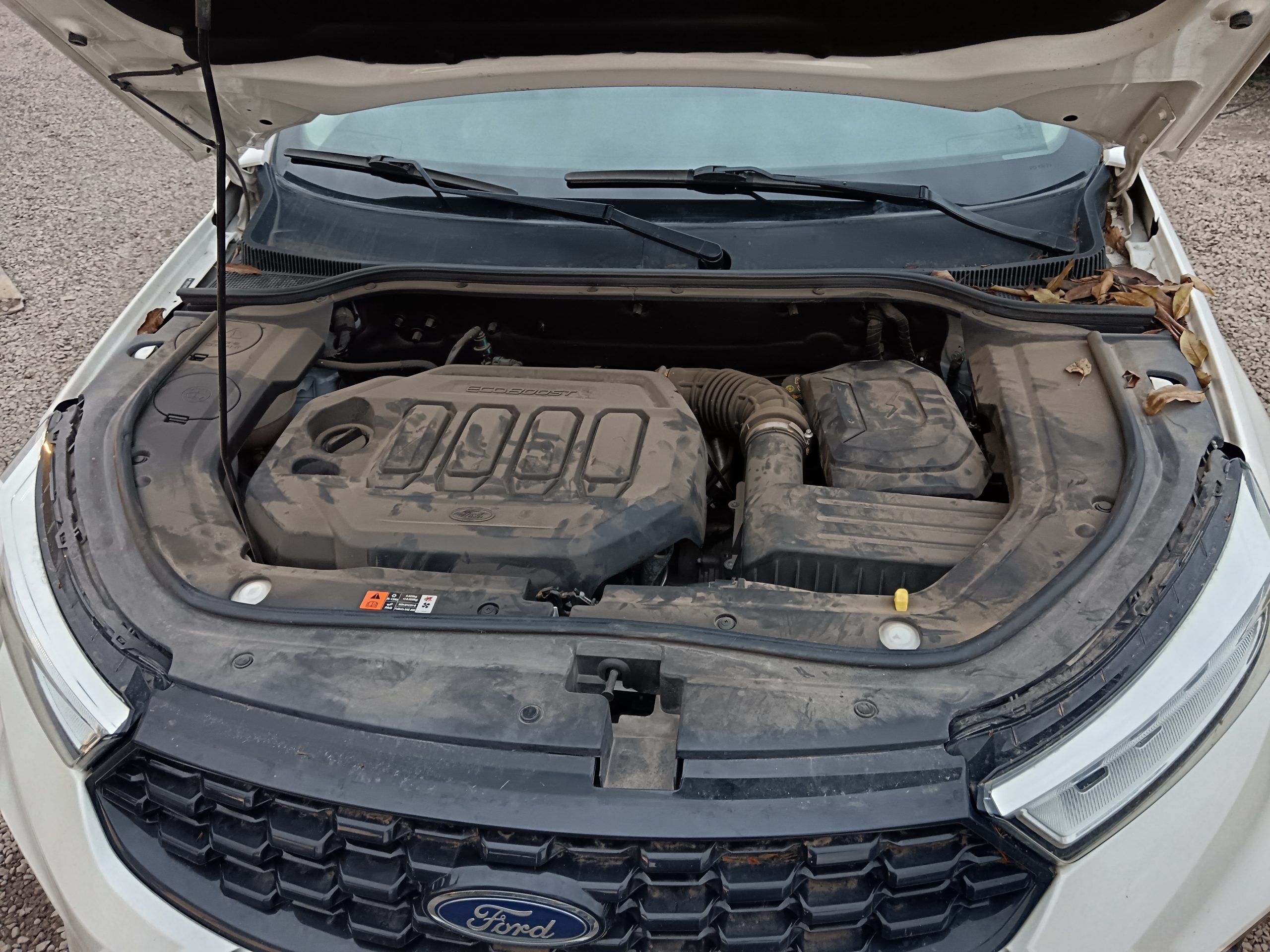 FORD TERRITORY TREND 2021