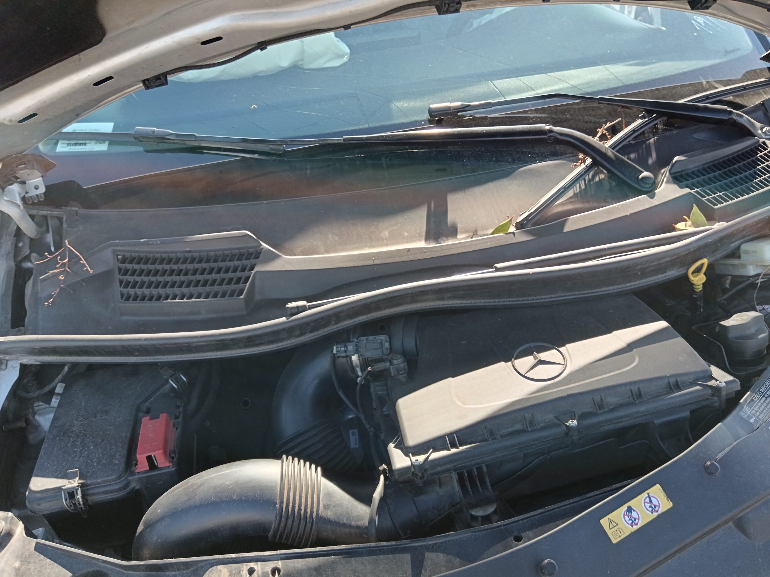 MERCEDES BENZ V220 2023