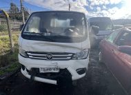 FOTON TM5 2024